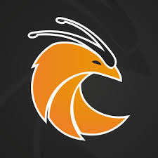 logo de l'équipe handi Esport Redbird